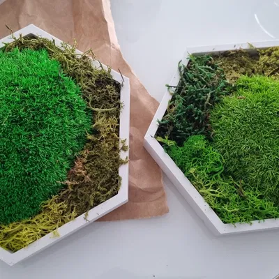 Govee Hex Panels parametric