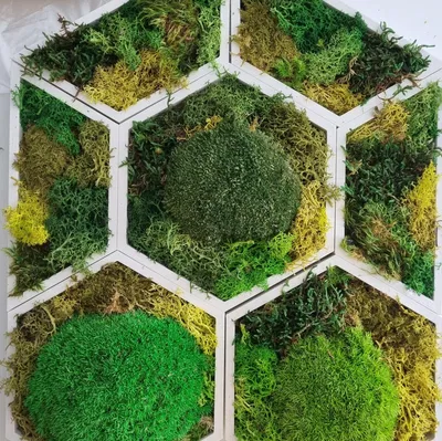 Govee Hex Panels parametric