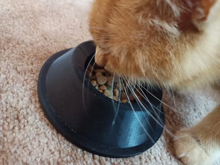 Title Bát mèo Miska pro kočku Tóm tắt Bát mèo đẹp có chữ và - Image 2