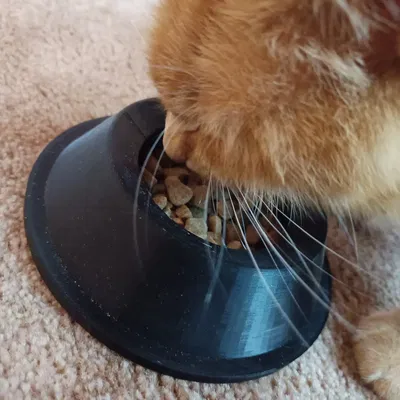 Title Bát mèo Miska pro kočku Tóm tắt Bát mèo đẹp có chữ và