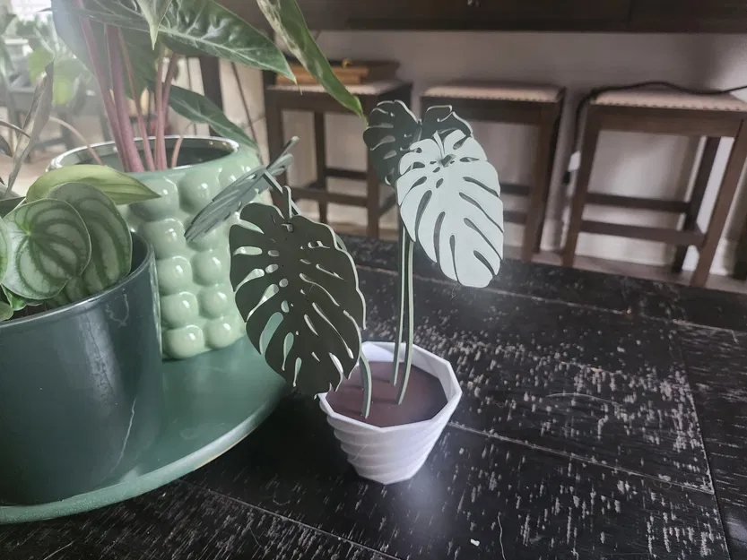 Monstera Coaster Set - Image 1