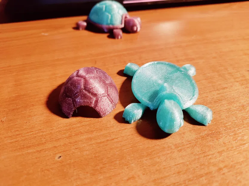 Rùa có mai tháo rời - Image 1