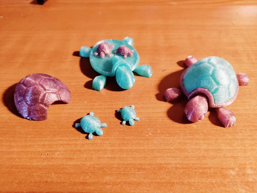 Rùa có mai tháo rời - Image 2