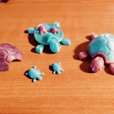 Rùa có mai tháo rời