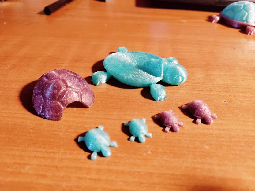 Rùa có mai tháo rời - Image 3