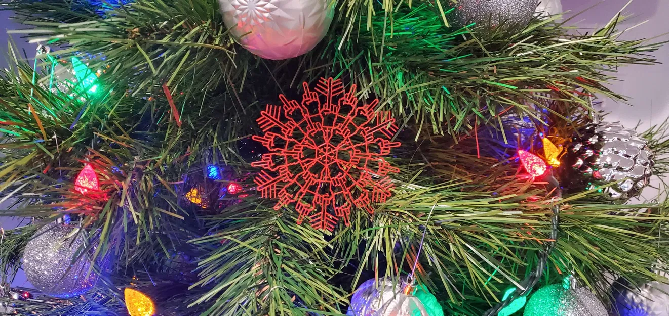 Bông Tuyết Ngón Giữa - Image 1