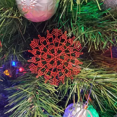 Bông Tuyết Ngón Giữa