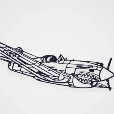 Tranh Treo Tường Máy Bay P-40 Warhawk Phi Hổ