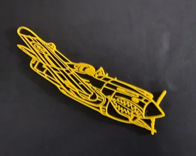 Tranh Treo Tường Máy Bay P-40 Warhawk Phi Hổ - Image 2