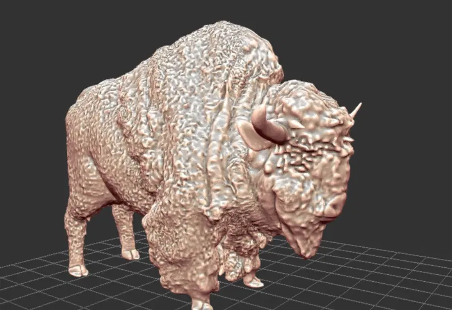 Bò Rừng Châu Âu - Image 1