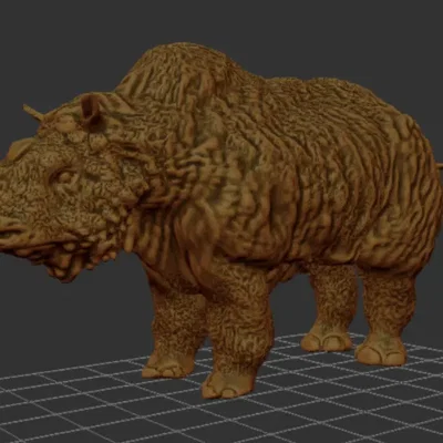 Sasha - Chú Tê Giác Lông Cừu Con