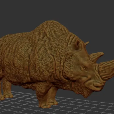 Coelodonta Antiquatata