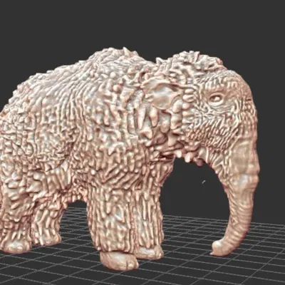 Nun Cho Ga - Con Bê Voi Bảo Quản Tốt