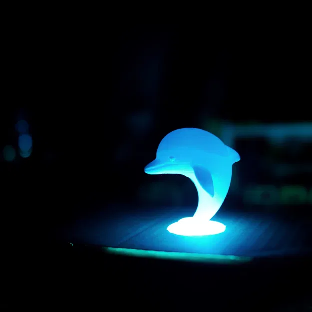 Cá heo đang nhảy - Image 6