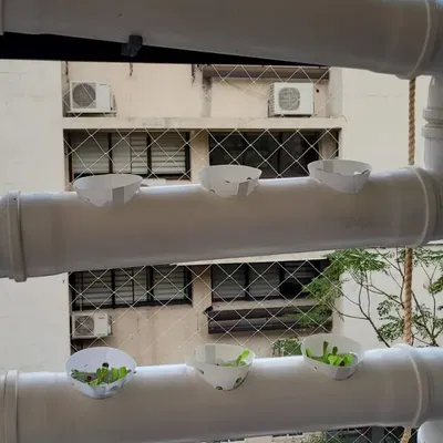 Ống Trồng Cây Thủy Canh