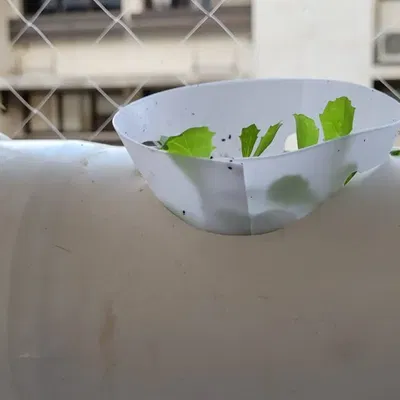 Ống Trồng Cây Thủy Canh