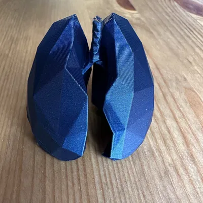 Phổi Tí Hon Theo Tỉ Lệ Giải Phẫu