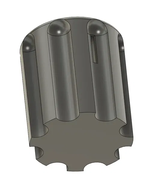 Heo Đất Bỏ Tiền Bên Hông - Image 3