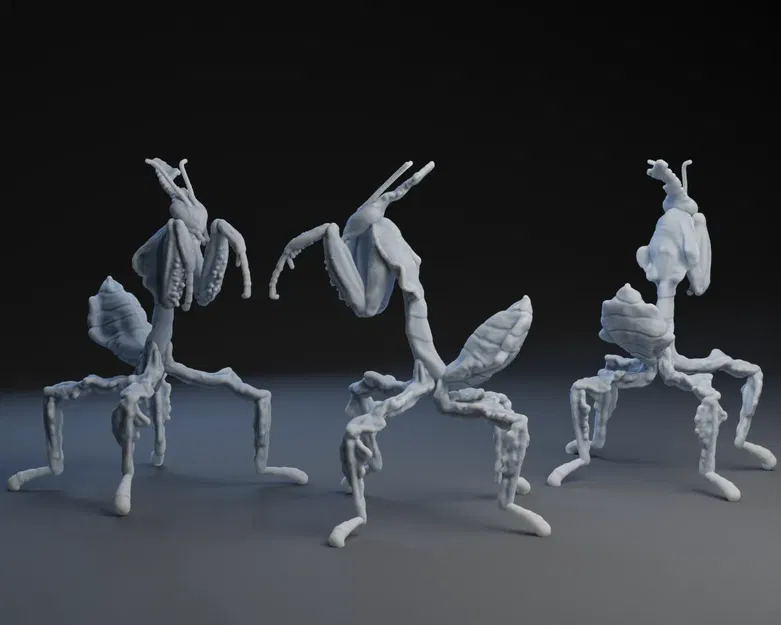 Bọ Ngựa Ma "Ghost Mantis" - Image 1