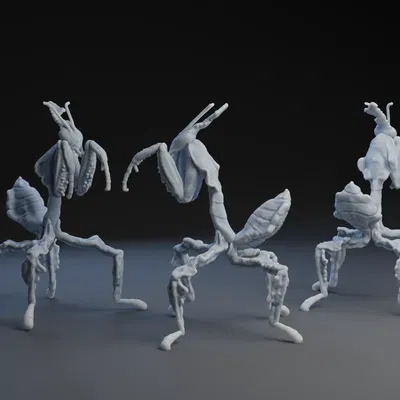 Bọ Ngựa Ma "Ghost Mantis"