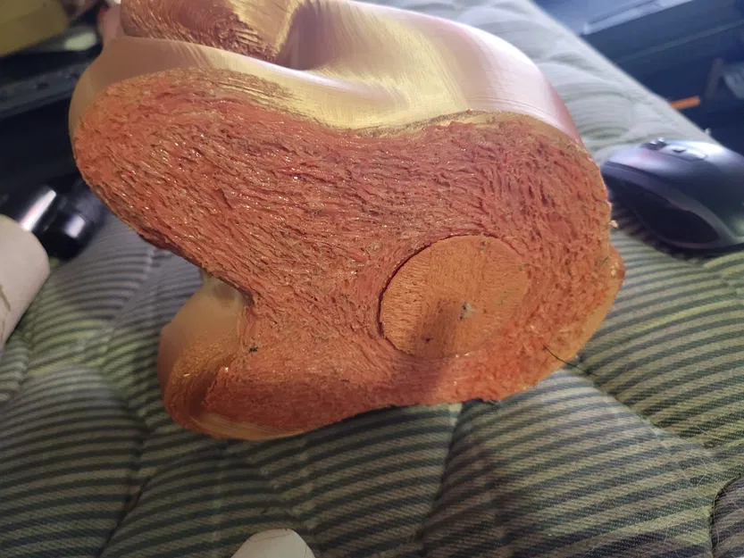 Heo Đất Hà Mã - Không Cần Hỗ Trợ - Image 5