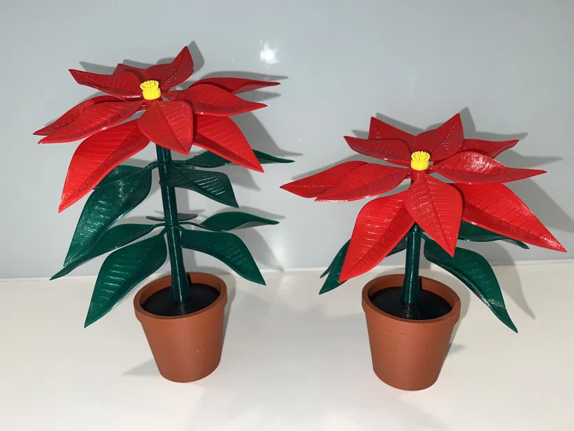 Chậu hoa trạng nguyên - Image 1