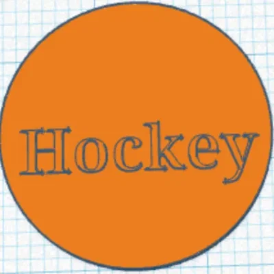 Air Hockey Puck