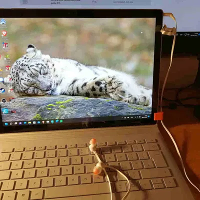 Dây dẫn cáp tai nghe cho Surface Book
