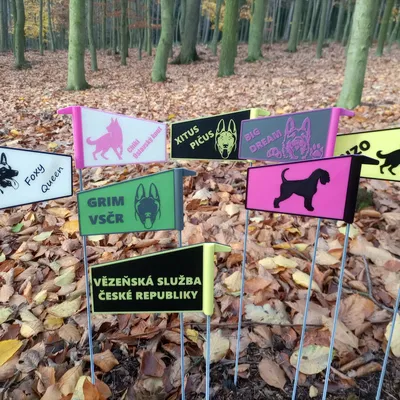 MÔ HÌNH THỂ THAO ĐUÔI CỜ CHO CHÓ