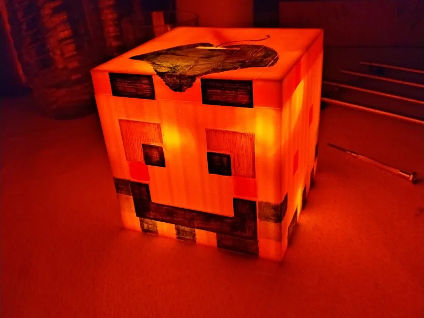 Heo Đất Mini Paluten - Image 4