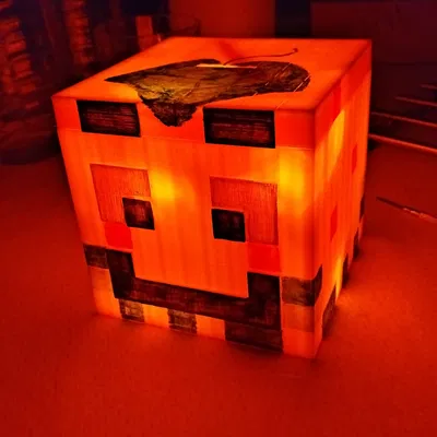 Heo Đất Mini Paluten