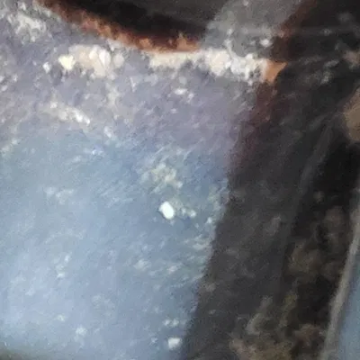 Philips proaqua electric brush hub