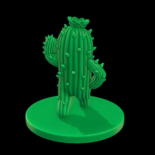 Cây Xương Rồng Nhỏ Điệu Đà "Sassy Lil' Cactus" - Image 3