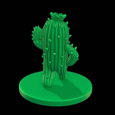 Cây Xương Rồng Nhỏ Điệu Đà "Sassy Lil' Cactus"