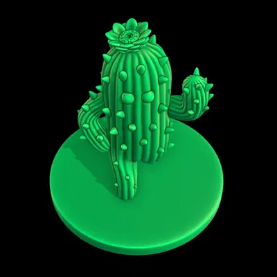 Cây Xương Rồng Nhỏ Điệu Đà "Sassy Lil' Cactus"