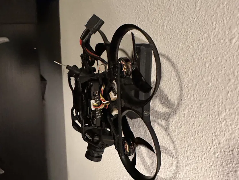 Pavo Pico wall mount - Image 1