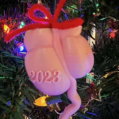 Móc Trang Trí Kỷ Niệm Ruột Thừa