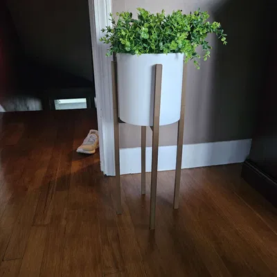 Chậu Cây Hiện Đại