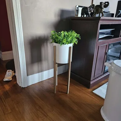 Chậu Cây Hiện Đại