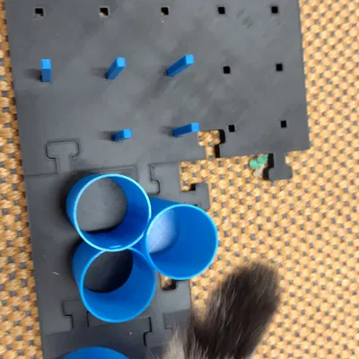 Chốt Bàn Chơi Cải Tiến Cho Mèo