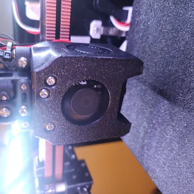 The Fly Swatter - Vợt ruồi