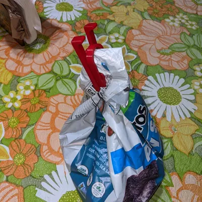 bag clip (with hole punch)