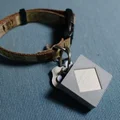 Giá Đỡ Móc Khóa Theo Dõi GPS Samsung SmartThings Cho Chó - Thumbnail 1