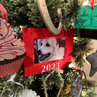 Khung Ảnh 2"x3" Năm 2023 Có Cây, Để Bàn và Treo Tường