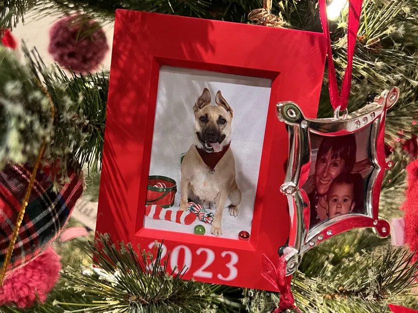 Khung Ảnh 2"x3" Năm 2023 Có Cây, Để Bàn và Treo Tường - Image 2