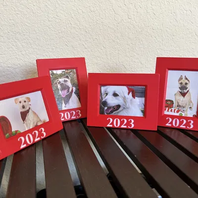 Khung Ảnh 2"x3" Năm 2023 Có Cây, Để Bàn và Treo Tường