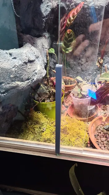 Miếng đệm kính cho Terrarium - Image 3
