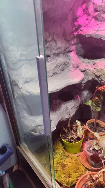 Miếng đệm kính cho Terrarium - Image 4