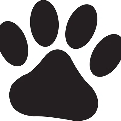 Dụng cụ cào băng hình chân mèo