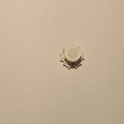 Nam Châm Bông Tuyết / Snow Flake Magnet